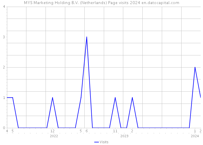 MYS Marketing Holding B.V. (Netherlands) Page visits 2024 