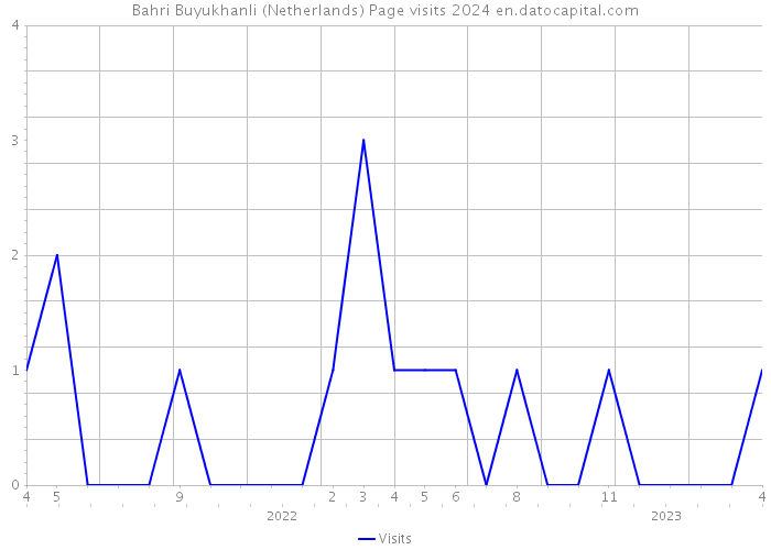 Bahri Buyukhanli (Netherlands) Page visits 2024 
