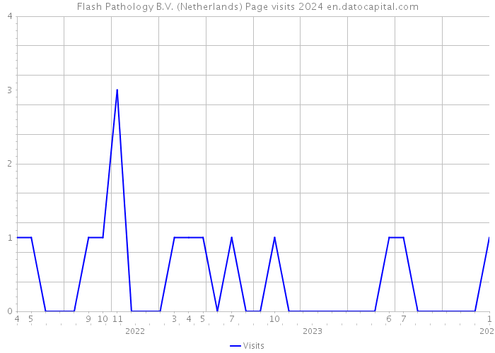 Flash Pathology B.V. (Netherlands) Page visits 2024 