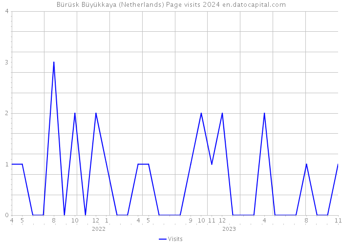 Bürüsk Büyükkaya (Netherlands) Page visits 2024 