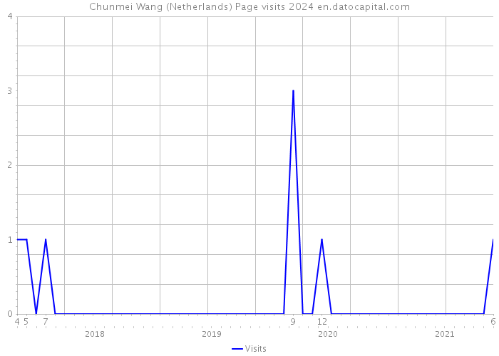 Chunmei Wang (Netherlands) Page visits 2024 