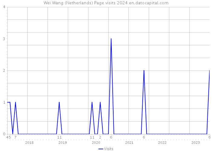 Wei Wang (Netherlands) Page visits 2024 