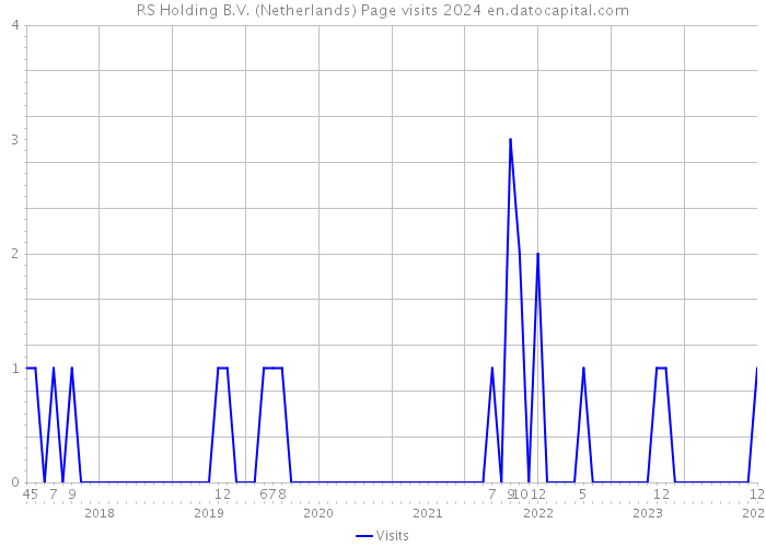 RS Holding B.V. (Netherlands) Page visits 2024 