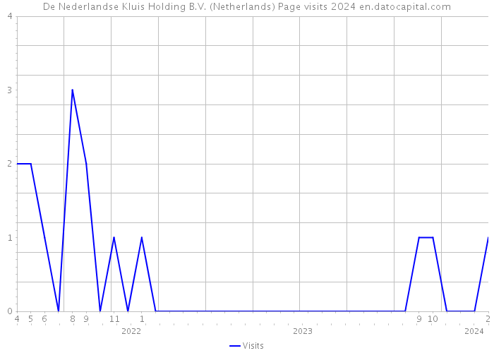 De Nederlandse Kluis Holding B.V. (Netherlands) Page visits 2024 