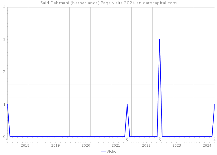 Said Dahmani (Netherlands) Page visits 2024 