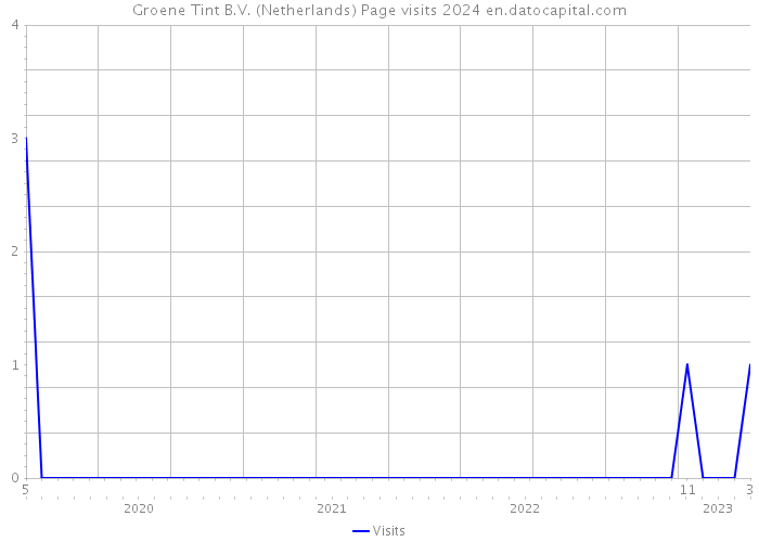 Groene Tint B.V. (Netherlands) Page visits 2024 