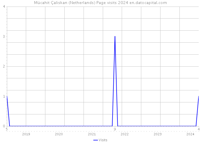 Mücahit Çaliskan (Netherlands) Page visits 2024 