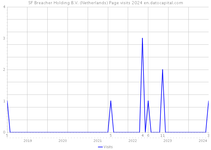 SF Breacher Holding B.V. (Netherlands) Page visits 2024 