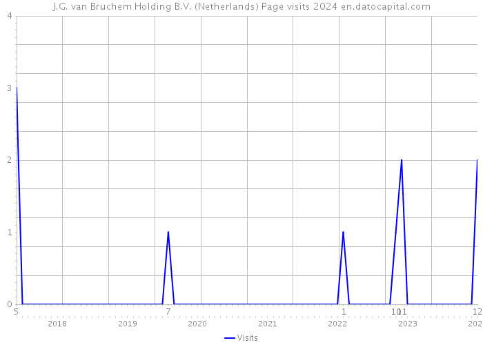 J.G. van Bruchem Holding B.V. (Netherlands) Page visits 2024 