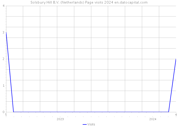 Solsbury Hill B.V. (Netherlands) Page visits 2024 