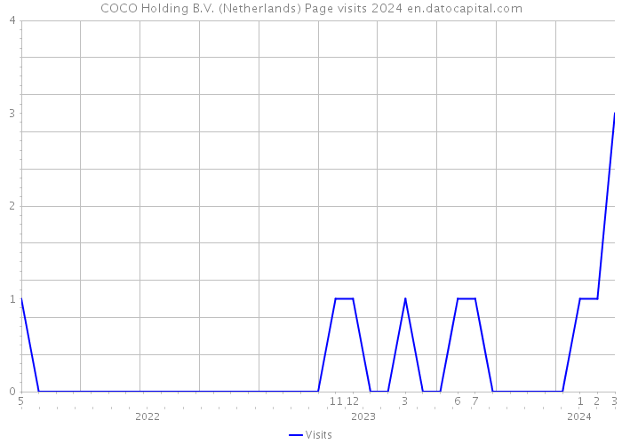 COCO Holding B.V. (Netherlands) Page visits 2024 
