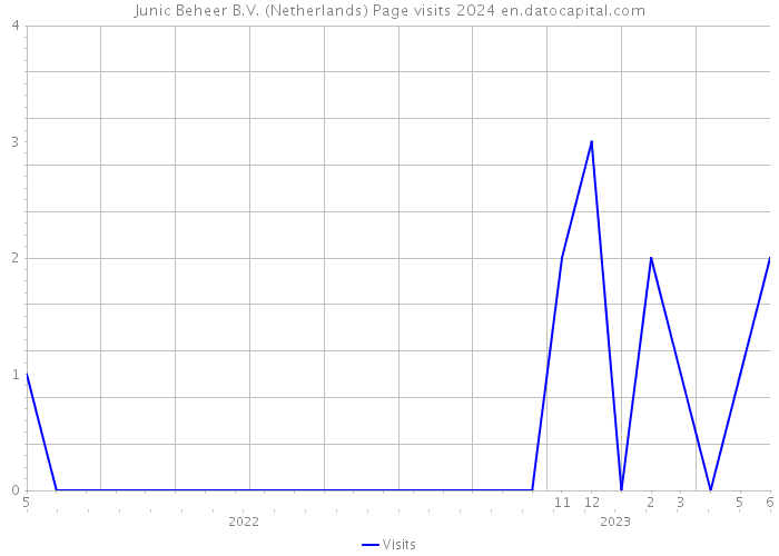 Junic Beheer B.V. (Netherlands) Page visits 2024 