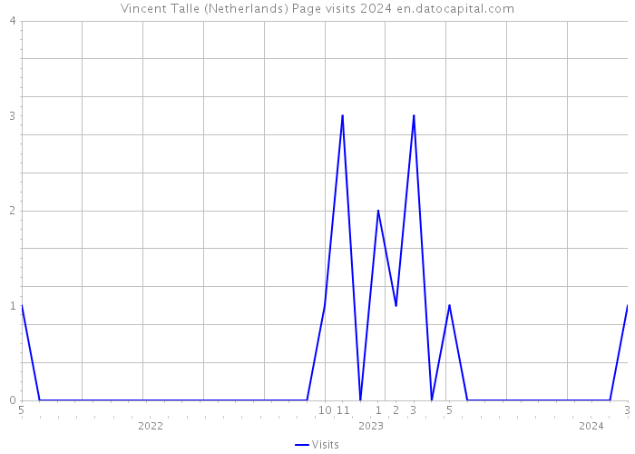 Vincent Talle (Netherlands) Page visits 2024 