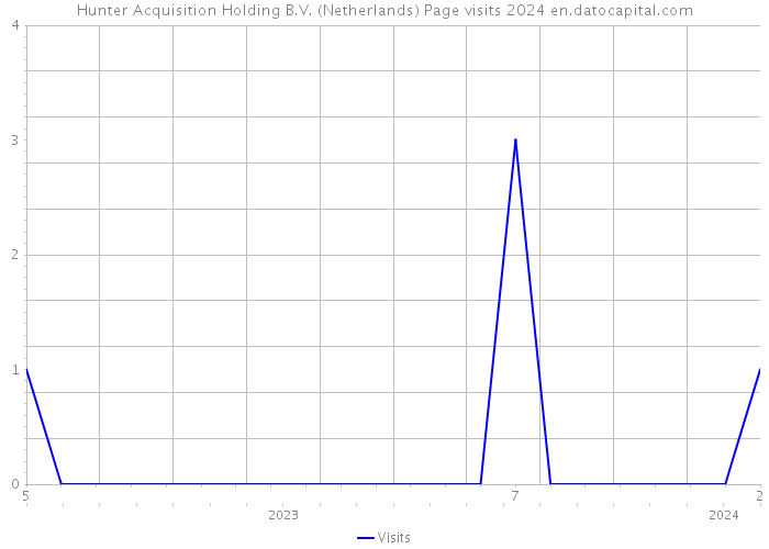 Hunter Acquisition Holding B.V. (Netherlands) Page visits 2024 