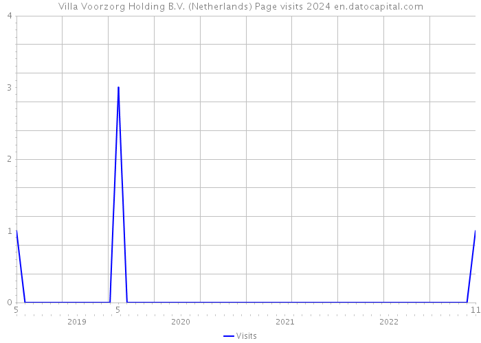 Villa Voorzorg Holding B.V. (Netherlands) Page visits 2024 