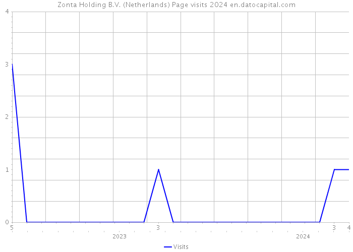Zonta Holding B.V. (Netherlands) Page visits 2024 