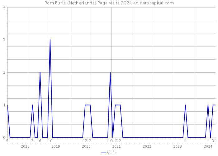 Pom Burie (Netherlands) Page visits 2024 