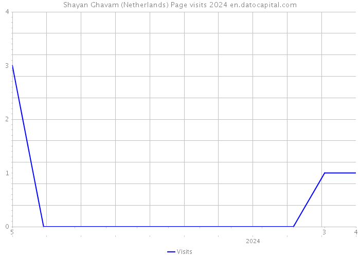 Shayan Ghavam (Netherlands) Page visits 2024 