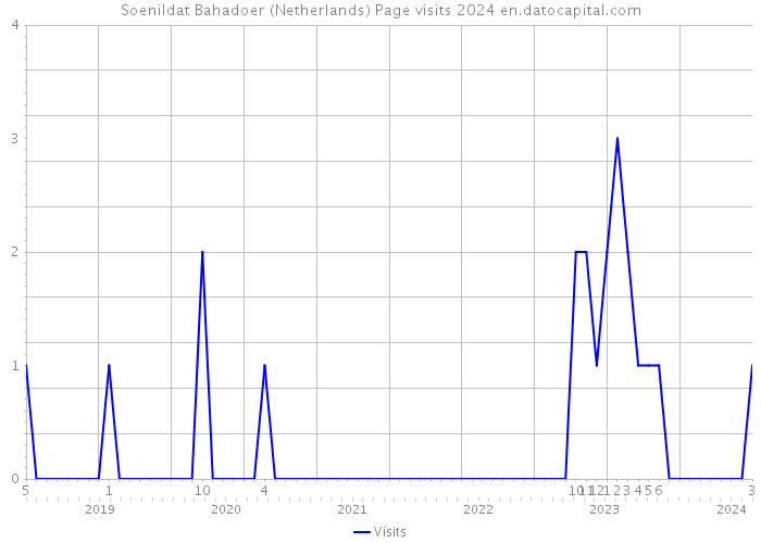 Soenildat Bahadoer (Netherlands) Page visits 2024 