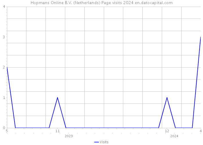 Hopmans Online B.V. (Netherlands) Page visits 2024 