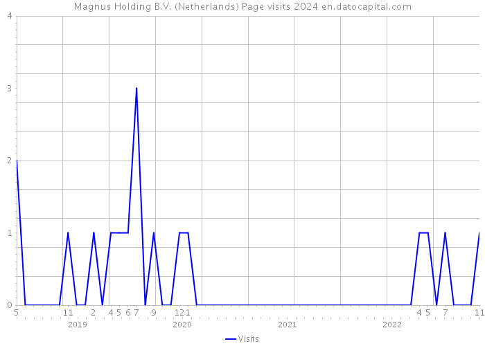 Magnus Holding B.V. (Netherlands) Page visits 2024 