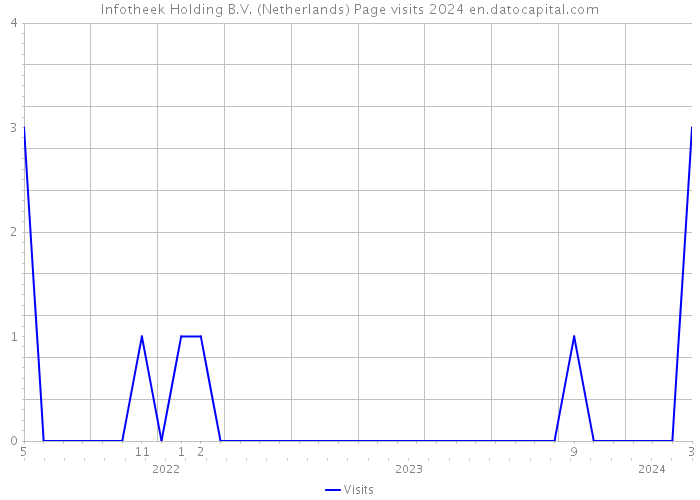Infotheek Holding B.V. (Netherlands) Page visits 2024 