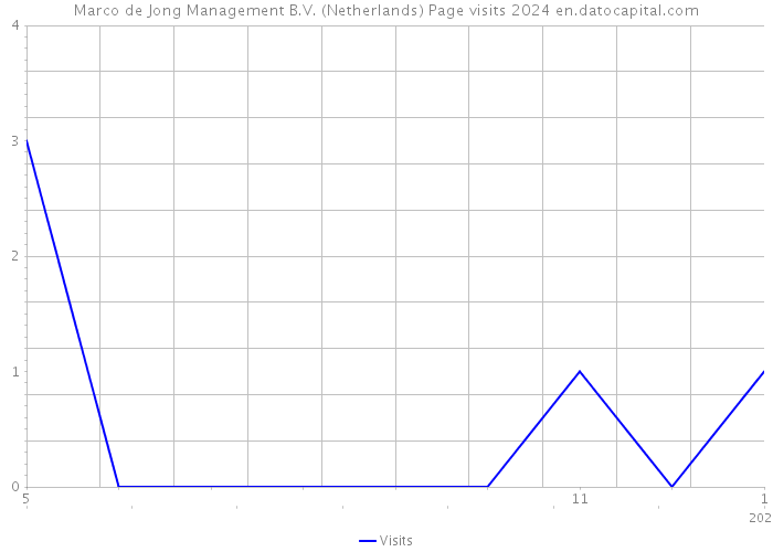 Marco de Jong Management B.V. (Netherlands) Page visits 2024 