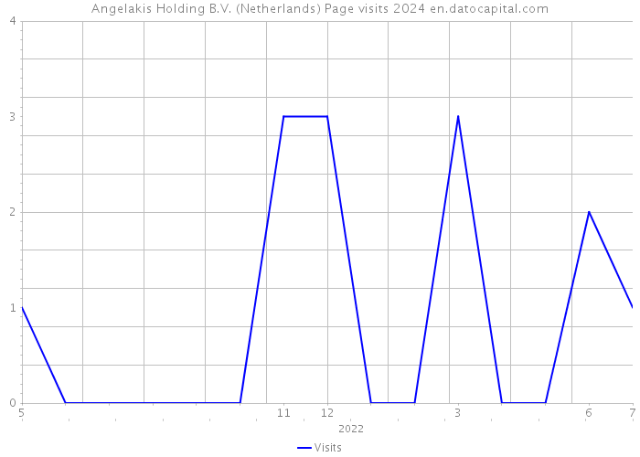 Angelakis Holding B.V. (Netherlands) Page visits 2024 