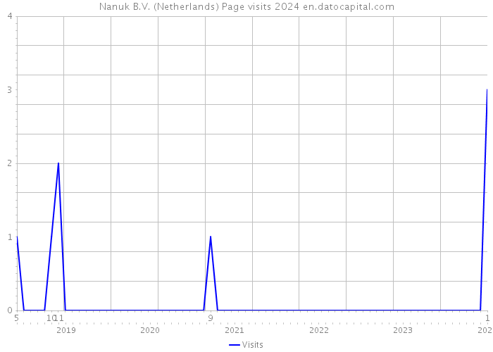 Nanuk B.V. (Netherlands) Page visits 2024 