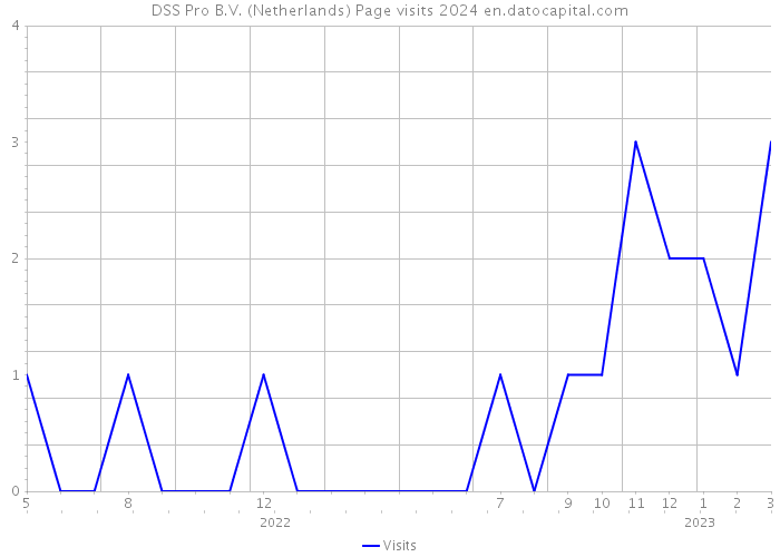 DSS Pro B.V. (Netherlands) Page visits 2024 