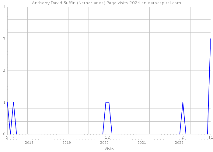 Anthony David Buffin (Netherlands) Page visits 2024 