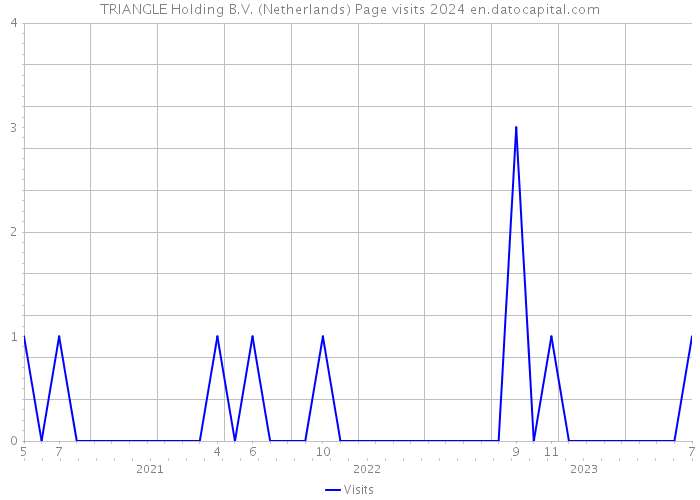 TRIANGLE Holding B.V. (Netherlands) Page visits 2024 