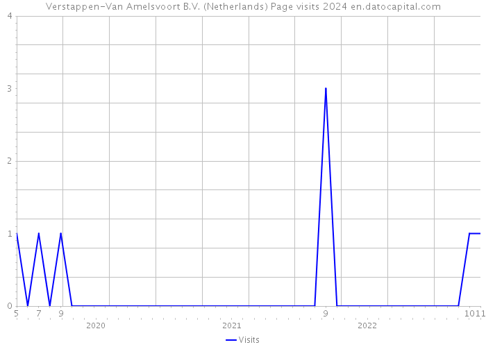 Verstappen-Van Amelsvoort B.V. (Netherlands) Page visits 2024 