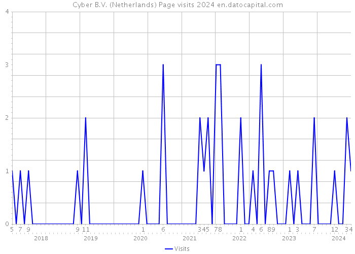 Cyber B.V. (Netherlands) Page visits 2024 