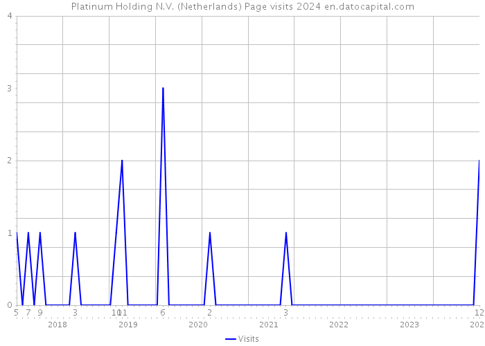 Platinum Holding N.V. (Netherlands) Page visits 2024 