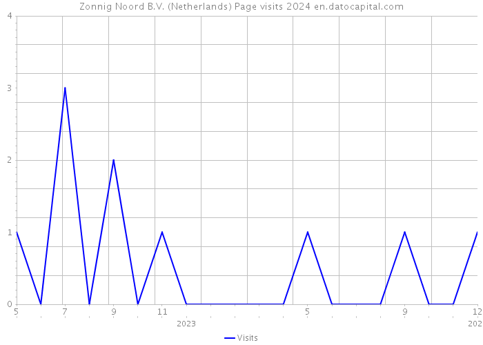 Zonnig Noord B.V. (Netherlands) Page visits 2024 
