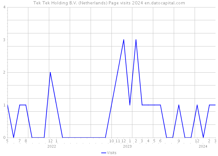 Tek Tek Holding B.V. (Netherlands) Page visits 2024 