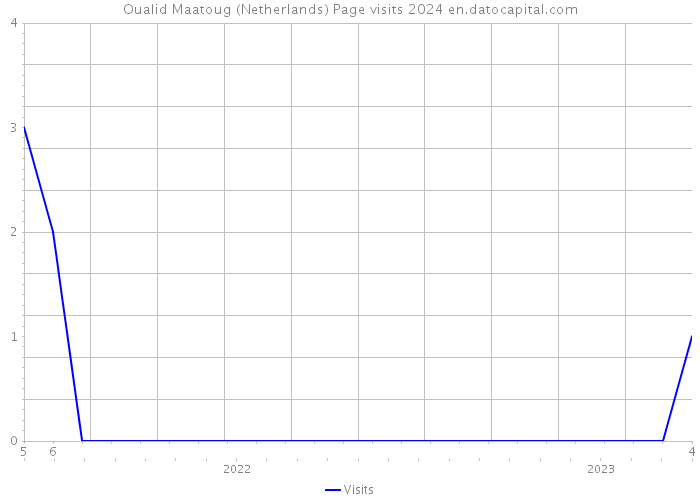 Oualid Maatoug (Netherlands) Page visits 2024 