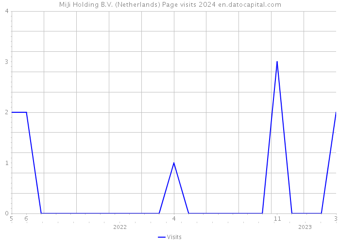 MiJi Holding B.V. (Netherlands) Page visits 2024 