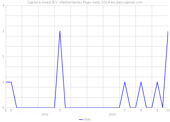 Captura Invest B.V. (Netherlands) Page visits 2024 