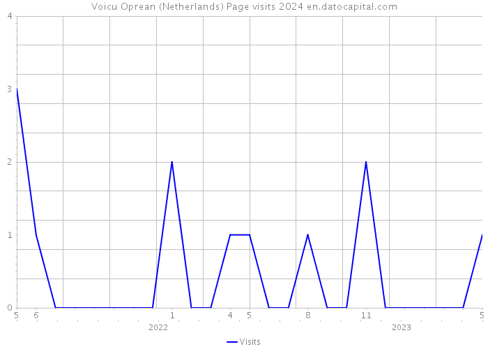 Voicu Oprean (Netherlands) Page visits 2024 