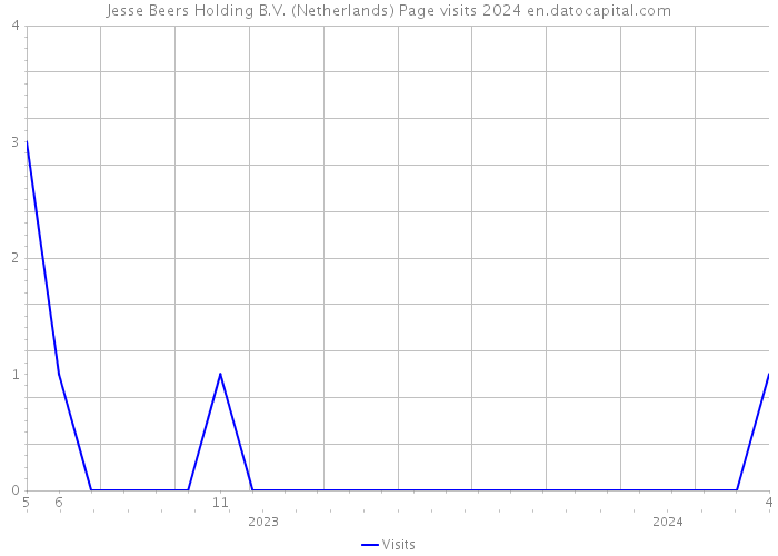 Jesse Beers Holding B.V. (Netherlands) Page visits 2024 