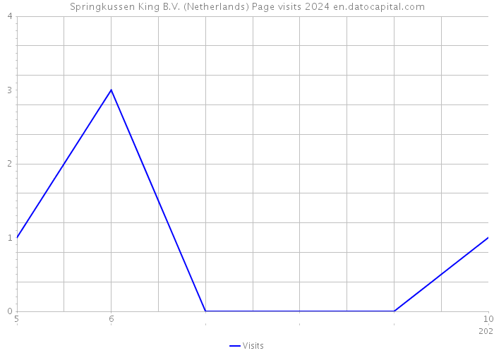 Springkussen King B.V. (Netherlands) Page visits 2024 