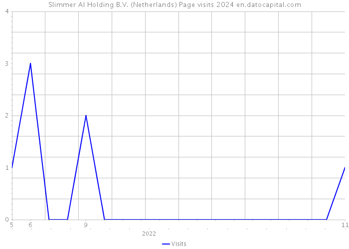 Slimmer AI Holding B.V. (Netherlands) Page visits 2024 