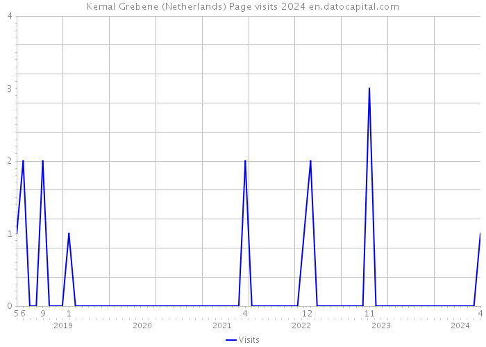 Kemal Grebene (Netherlands) Page visits 2024 