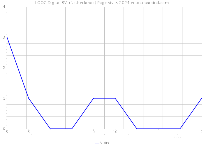 LOOC Digital BV. (Netherlands) Page visits 2024 