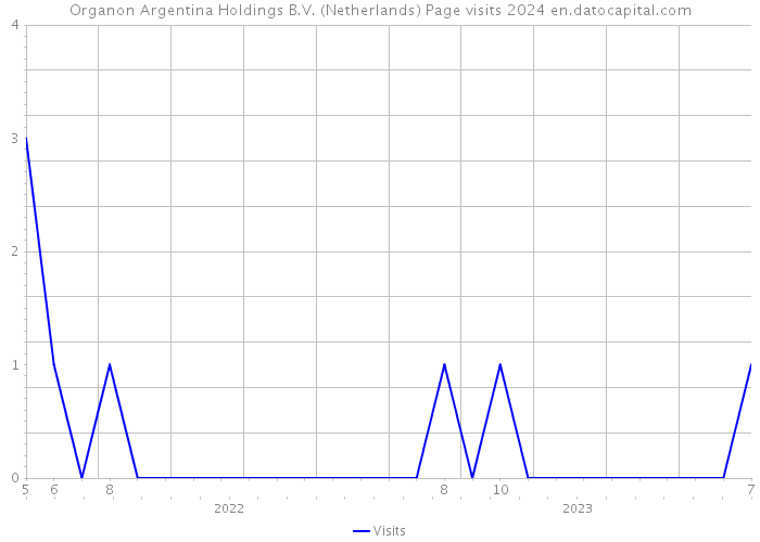 Organon Argentina Holdings B.V. (Netherlands) Page visits 2024 