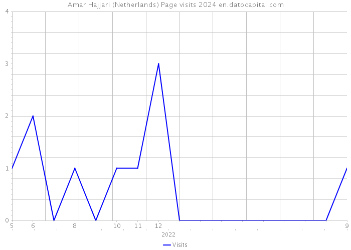 Amar Hajjari (Netherlands) Page visits 2024 