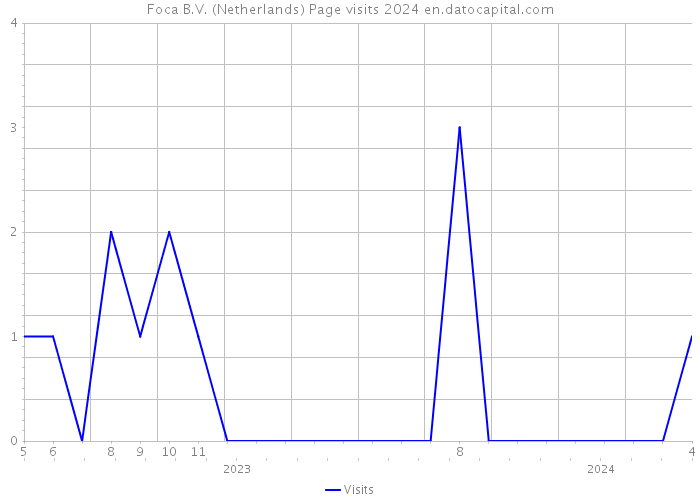Foca B.V. (Netherlands) Page visits 2024 