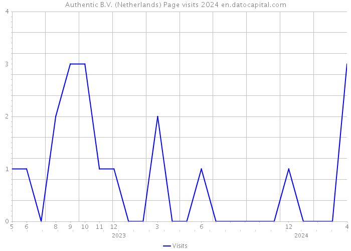 Authentic B.V. (Netherlands) Page visits 2024 